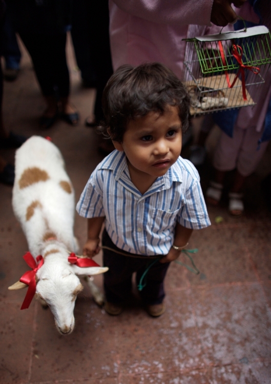 A boy holds his sheep by a leash as he attends the Blessing of the Animals celebration in Oaxaca, Mexico / © Chico Sanchez @ Alamy (BKKH87)